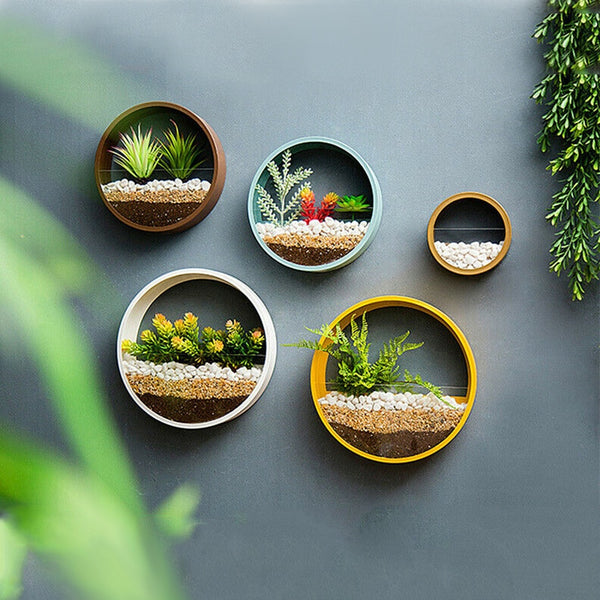 DIY Wall Terrarium